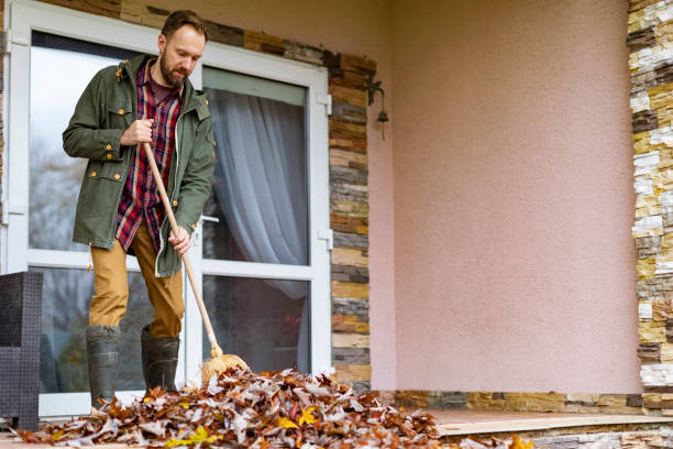 Best Furniture Removal Near Me  in Springdale, SC
